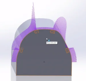 All About Zebra Stripes