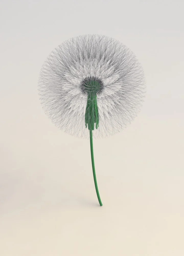 Dandelion Flower in SolidWorks