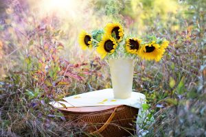 Robotany: How Tech is Sowing the Seed of Flower Production’s Future