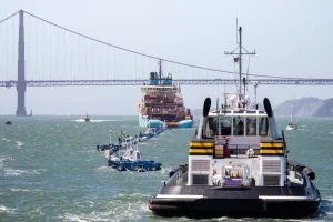 My Very Little Part in the Largest Ocean Cleanup in History