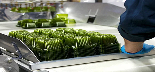 Managing Merged Manufacturing Operations