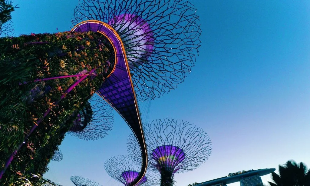 New Meets Nature: Can Modern Engineering Preserve the Natural World?