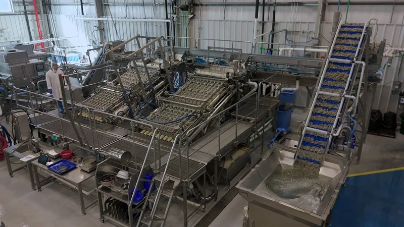 [insert Laitram-machines-3.jpg.webp]