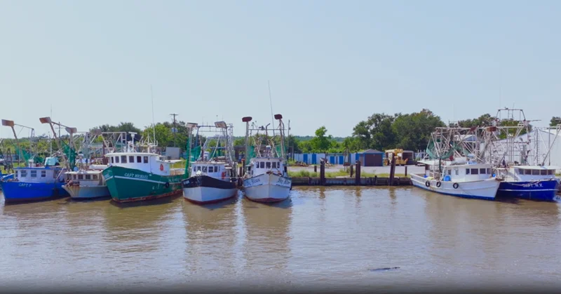 [insert ShrimpBoats.png.webp]